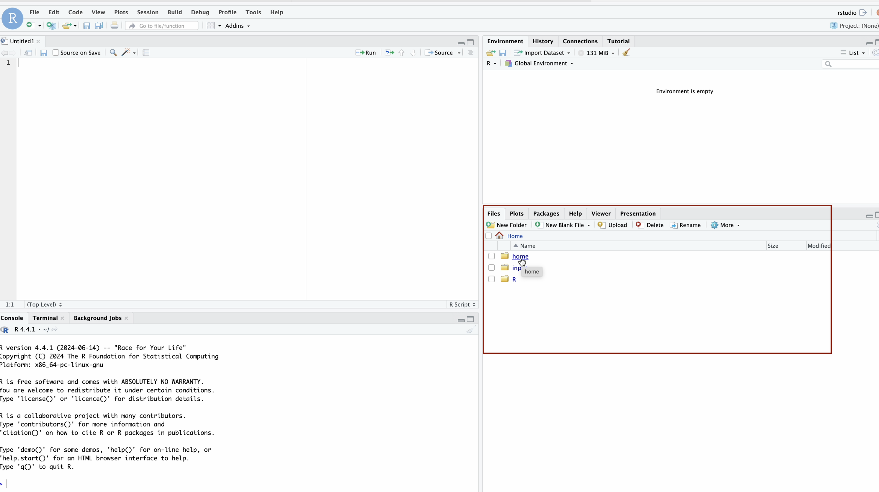 查看当前工作目录